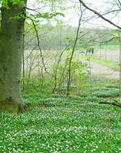 【写真】スウェーデン/ヨーテボリ