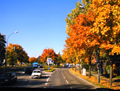 【写真】ドイツ・ミュンヘン