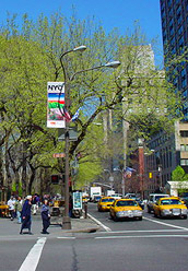 【写真】アメリカ/ニューヨーク