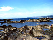 【写真】神奈川・三浦半島