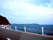 yʐ^zC[g͋A蓹Ŋy݂܂