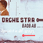 Specialist In All Styles /Orchestra Baobab